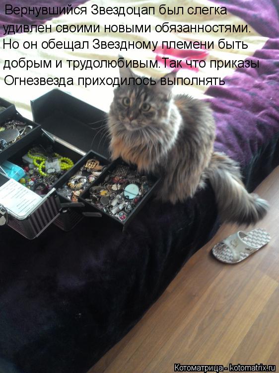Котоматрица: Вернувшийся Звездоцап был слегка  удивлен своими новыми обязанностями. Но он обещал Звездному племени быть добрым и трудолюбивым.Так что п