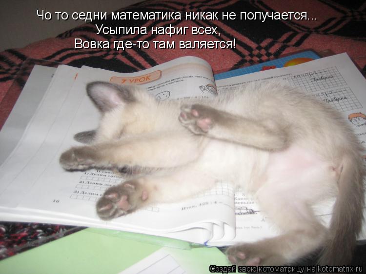 Котоматрица: Чо то седни математика никак не получается... Усыпила нафиг всех,  Вовка где-то там валяется!