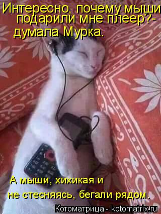 Котоматрица: подарили мне плеер?- Интересно, почему мыши думала Мурка. не стесняясь, бегали рядом. А мыши, хихикая и