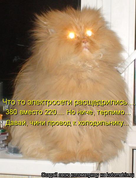 Котоматрица: Что то электросети расщедрились.... 380 вместо 220.... Но ниче, терпимо... Давай, чини провод к холодильнику...
