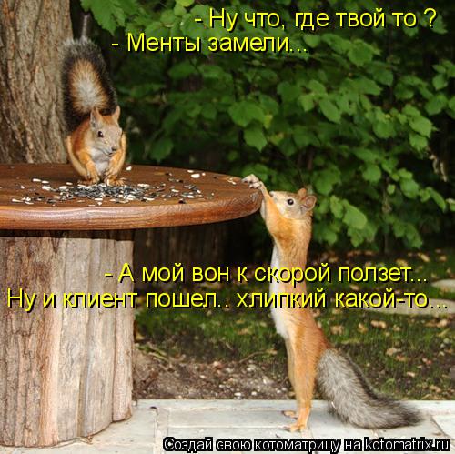 - Ну что, где твой то ? - Менты замели... - А мой вон к скорой ползет... Ну и клиент пошел.. хлипкий ... Котоматрица: - Ну что, где твой то ? - Менты замели... - А мой вон к скорой ползет... Ну и клиент пошел.. хлипкий какой-то...
