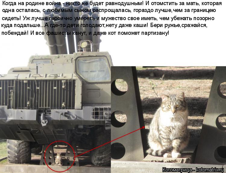 Котоматрица: Когда на родине война - никто не будет равнодушным! И отомстить за мать, которая сидеть! Уж лучше героично умереть и мужество свое иметь, чем 