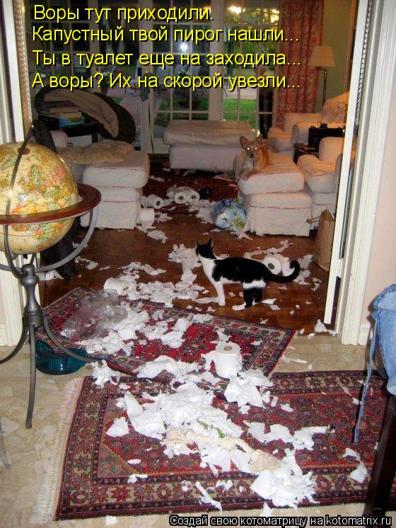 Котоматрица: Воры тут приходили. Капустный твой пирог нашли... Ты в туалет еще на заходила... А воры? Их на скорой увезли...