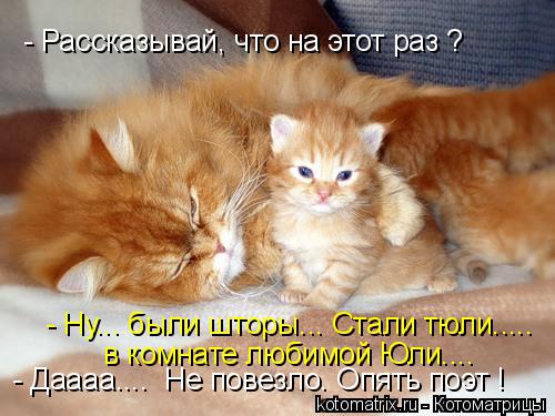 - Рассказывай, что на этот раз ? - Ну... были шторы... Стали тюли..... в комнате любимой Юли.... - Да... Котоматрица: - Рассказывай, что на этот раз ? - Ну... были шторы... Стали тюли..... в комнате любимой Юли.... - Даааа.... Не повезло. Опять поэт !