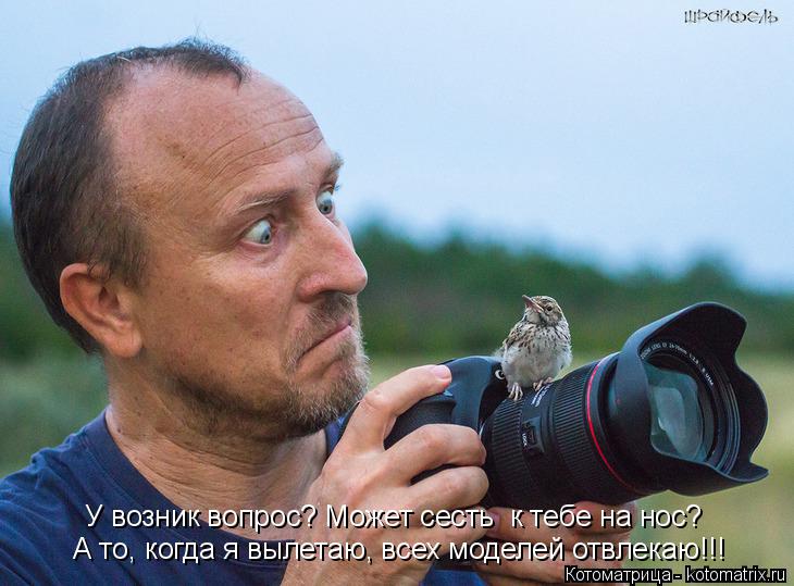 А то, когда я вылетаю, всех моделей отвлекаю!!! У возник вопрос? Может сесть к тебе на нос?... Котоматрица: А то, когда я вылетаю, всех моделей отвлекаю!!! У возник вопрос? Может сесть к тебе на нос?