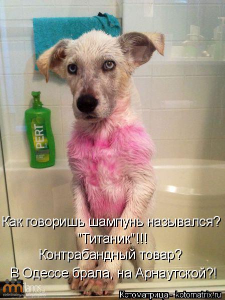 Как говоришь шампунь назывался? "Титаник"!!! Контрабандный товар? В Одессе брала, на Арнаутской?!... Котоматрица: Как говоришь шампунь назывался? "Титаник"!!! Контрабандный товар? В Одессе брала, на Арнаутской?!
