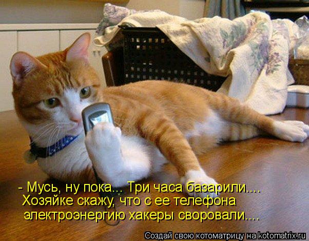 Котоматрица: - Мусь, ну пока... Три часа базарили.... Хозяйке скажу, что с ее телефона электроэнергию хакеры своровали....
