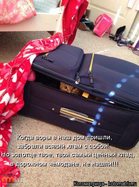 Когда воры в наш дом пришли, забрали всякий хлам с собой! Но золотце твое, твой самый ценный клад, в ... Котоматрица: Когда воры в наш дом пришли, забрали всякий хлам с собой! Но золотце твое, твой самый ценный клад, в дорожном чемодане, не нашли!!!