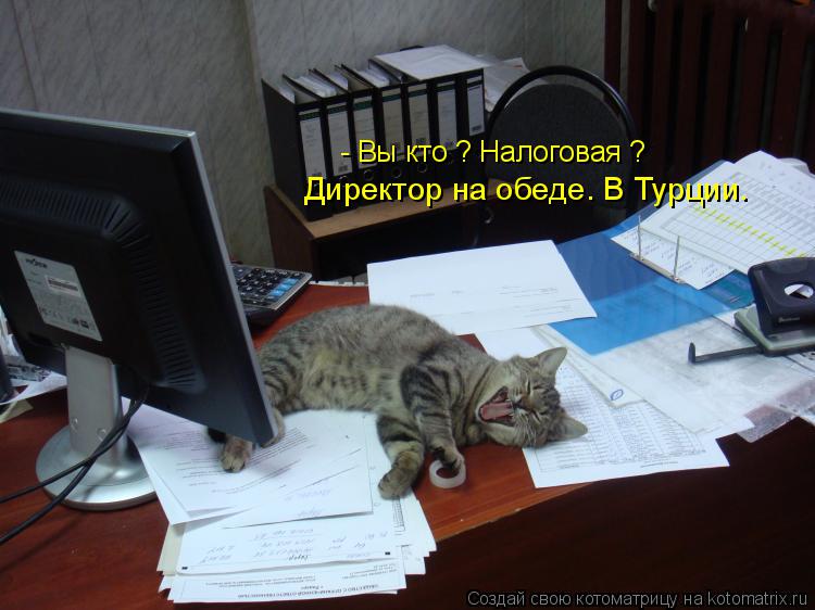 Котоматрица: - Вы кто ? Налоговая ? Директор на обеде. В Турции.