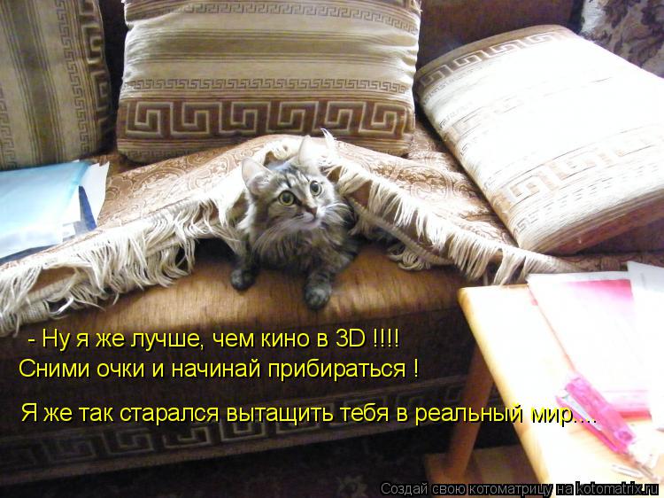 - Ну я же лучше, чем кино в 3D !!!! Сними очки и начинай прибираться ! Я же так старался вытащить теб... Котоматрица: - Ну я же лучше, чем кино в 3D !!!! Сними очки и начинай прибираться ! Я же так старался вытащить тебя в реальный мир....