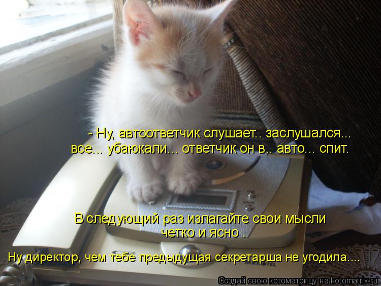 - Ну, автоответчик слушает.. заслушался... все... убаюкали... ответчик он в.. авто... спит. В следую... Котоматрица: - Ну, автоответчик слушает.. заслушался... все... убаюкали... ответчик он в.. авто... спит. В следующий раз излагайте свои мысли четко и ясно . Ну д