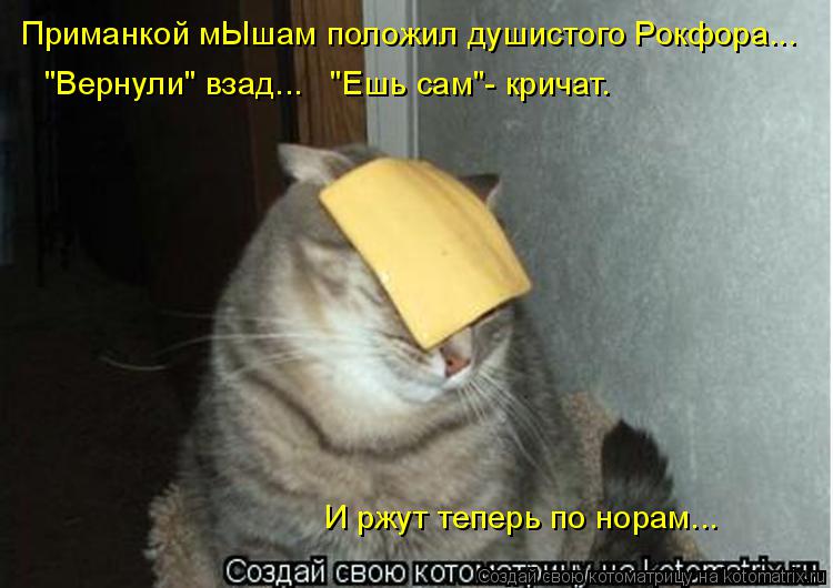 Приманкой мЫшам положил душистого Рокфора... И ржут теперь по норам... "Вернули" взад... "Ешь сам"-... Котоматрица: Приманкой мЫшам положил душистого Рокфора... И ржут теперь по норам... "Вернули" взад... "Ешь сам"- кричат.