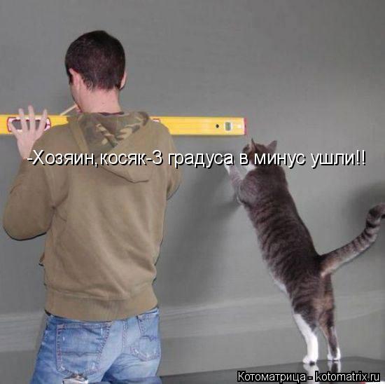 -Хозяин,косяк-3 градуса в минус ушли!!... Котоматрица: -Хозяин,косяк-3 градуса в минус ушли!!