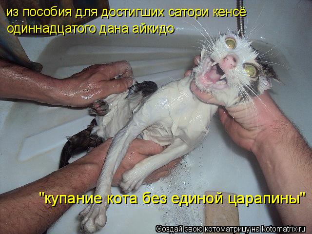 Котоматрица: из пособия для достигших сатори кенсё "купание кота без единой царапины" одиннадцатого дана айкидо