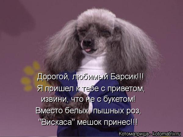 Я пришел к тебе с приветом, "Вискаса" мешок принес!!! Дорогой, любимый Барсик!!! Вместо белых, пышных... Котоматрица: Я пришел к тебе с приветом, "Вискаса" мешок принес!!! Дорогой, любимый Барсик!!! Вместо белых, пышных роз, извини, что не с букетом!