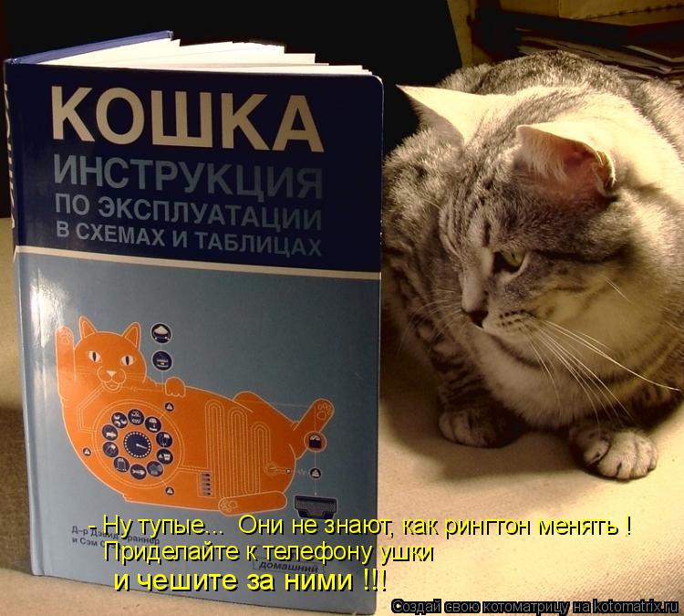 Котоматрица: - Ну тупые...  Они не знают, как рингтон менять ! Приделайте к телефону ушки и чешите за ними !!!