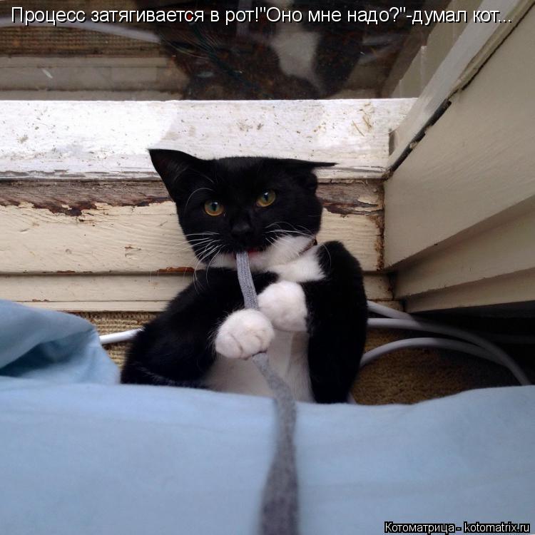 Процесс затягивается в рот!"Оно мне надо?"-думал кот...... Котоматрица: Процесс затягивается в рот!"Оно мне надо?"-думал кот...