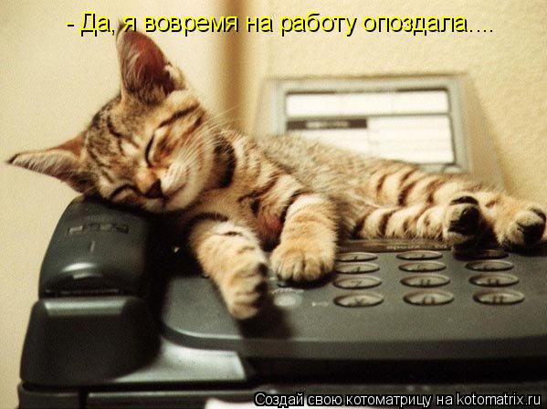 Котоматрица: - Да, я вовремя на работу опоздала....