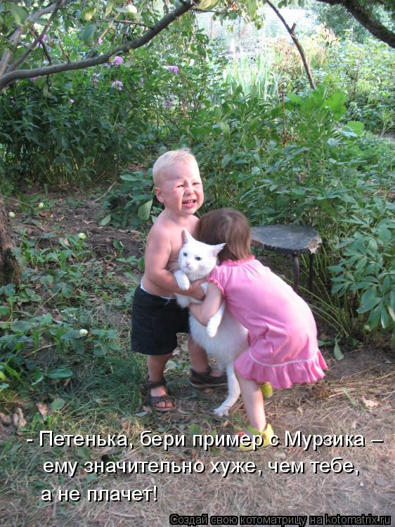 Котоматрица: - Петенька, бери пример с Мурзика – ему значительно хуже, чем тебе, а не плачет!