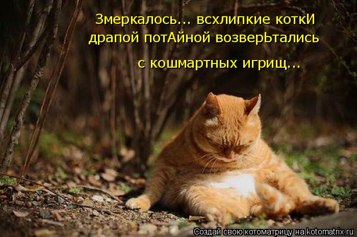 Змеркалось... всхлипкие коткИ драпой потАйной возверЬтались с кошмартных игрищ...... Котоматрица: Змеркалось... всхлипкие коткИ драпой потАйной возверЬтались с кошмартных игрищ...