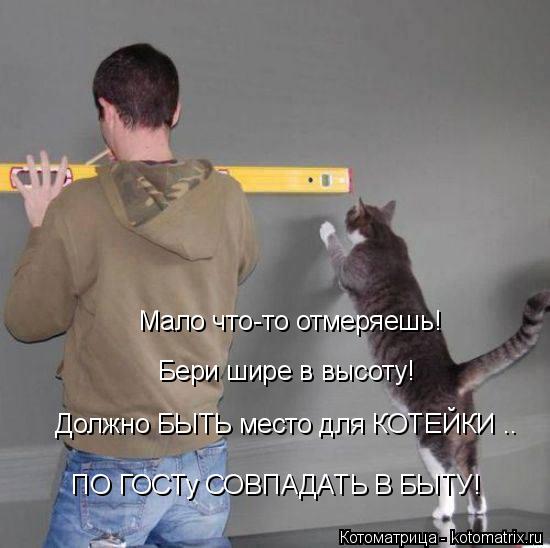 Мало что-то отмеряешь! Бери шире в высоту! ПО ГОСТу СОВПАДАТЬ В БЫТУ! Должно БЫТЬ место для КОТЕЙКИ .... Котоматрица: Мало что-то отмеряешь! Бери шире в высоту! ПО ГОСТу СОВПАДАТЬ В БЫТУ! Должно БЫТЬ место для КОТЕЙКИ ..