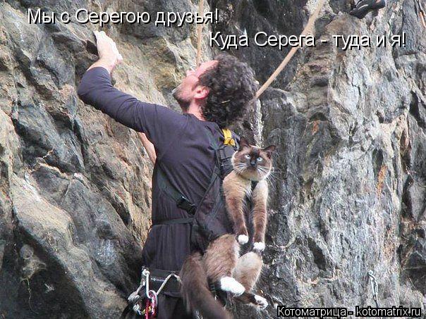 Мы с Серегою друзья! Куда Серега - туда и я!... Котоматрица: Мы с Серегою друзья! Куда Серега - туда и я!