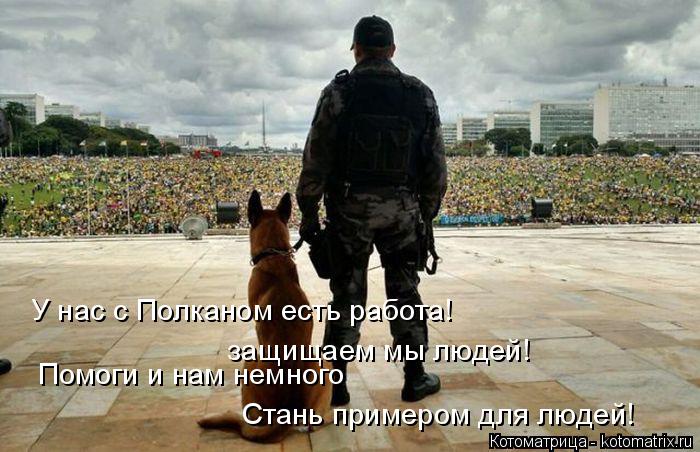 У нас с Полканом есть работа! защищаем мы людей! Помоги и нам немного Стань примером для людей!... Котоматрица: У нас с Полканом есть работа! защищаем мы людей! Помоги и нам немного Стань примером для людей!