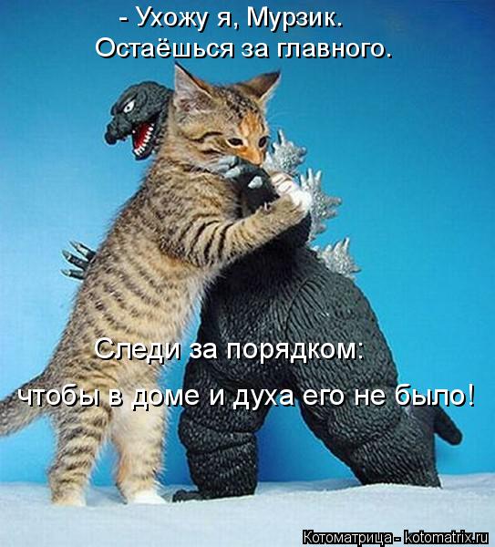 - Ухожу я, Мурзик. Остаёшься за главного. Следи за порядком: чтобы в доме и духа его не было!... Котоматрица: - Ухожу я, Мурзик. Остаёшься за главного. Следи за порядком: чтобы в доме и духа его не было!