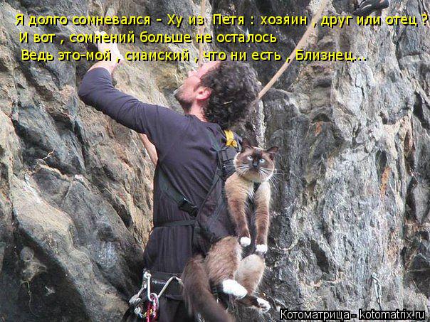 Я долго сомневался - Ху из Петя : хозяин , друг или отец ? И вот , cомнений больше не осталось Ведь ... Котоматрица: Я долго сомневался - Ху из Петя : хозяин , друг или отец ? И вот , cомнений больше не осталось Ведь это-мой , сиамский , что ни есть , Близнец...