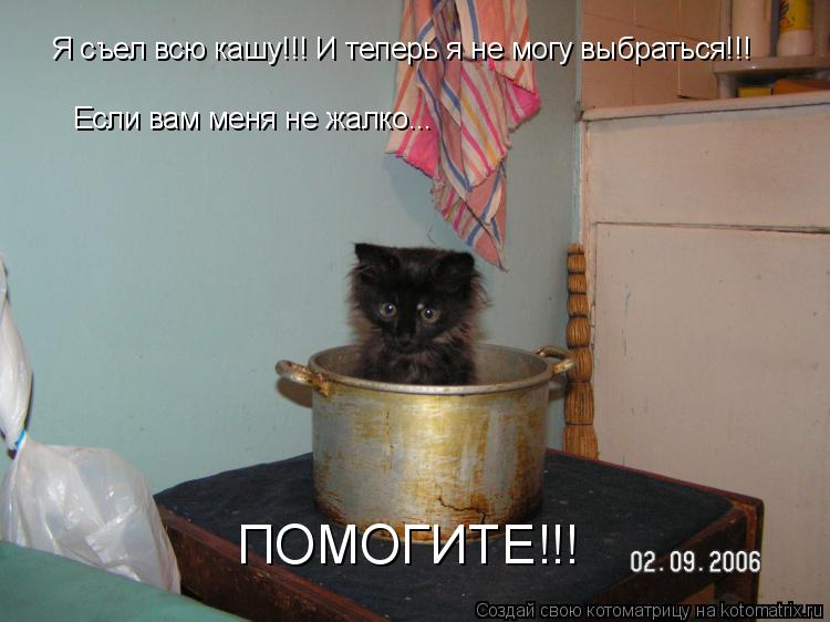 Я съел всю кашу!!! И теперь я не могу выбраться!!! Если вам меня не жалко... ПОМОГИТЕ!!!... Котоматрица: Я съел всю кашу!!! И теперь я не могу выбраться!!! Если вам меня не жалко... ПОМОГИТЕ!!!