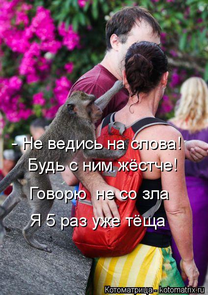 Будь с ним жёстче! - Не ведись на слова! Говорю не со зла Я 5 раз уже тёща... Котоматрица: Будь с ним жёстче! - Не ведись на слова! Говорю не со зла Я 5 раз уже тёща