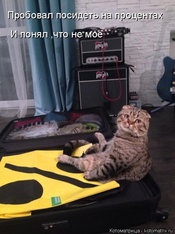 Пробовал посидеть на процентах И понял ,что не моё... Котоматрица: Пробовал посидеть на процентах И понял ,что не моё