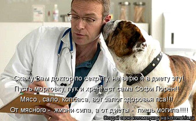 Скажу Вам доктор по секрету, не верю я в диету эту! Пусть морковку, лук и хрен, ест сама Софи Лорен!!... Котоматрица: Скажу Вам доктор по секрету, не верю я в диету эту! Пусть морковку, лук и хрен, ест сама Софи Лорен!! Мясо , сало, колбаса, вот залог здоровья пс