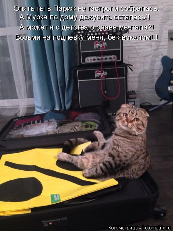 А может я с детства о славе мечтала?! Возьми на подпевку меня, бек-вокалом!!! А Мурка по дому дежурит... Котоматрица: А может я с детства о славе мечтала?! Возьми на подпевку меня, бек-вокалом!!! А Мурка по дому дежурить осталась!! Опять ты в Париж на гастроли с