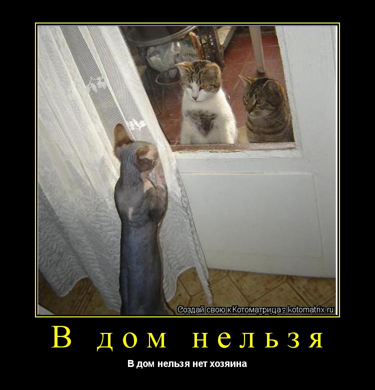В дом нельзя В дом нельзя нет хозяина... Котоматрица: В дом нельзя В дом нельзя нет хозяина