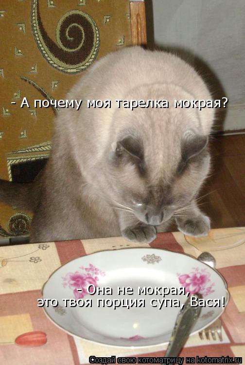 - А почему моя тарелка мокрая? - Она не мокрая, это твоя порция супа, Вася!... Котоматрица: - А почему моя тарелка мокрая? - Она не мокрая, это твоя порция супа, Вася!