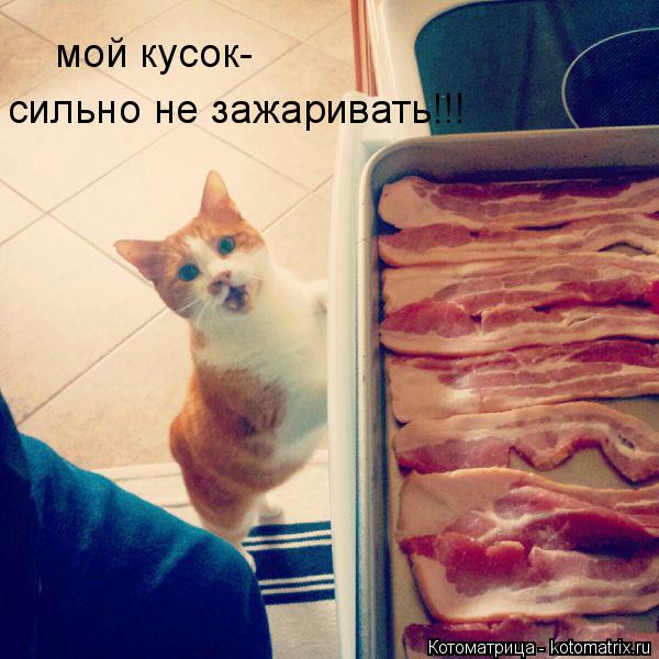 мой кусок- сильно не зажаривать!!!... Котоматрица: мой кусок- сильно не зажаривать!!!