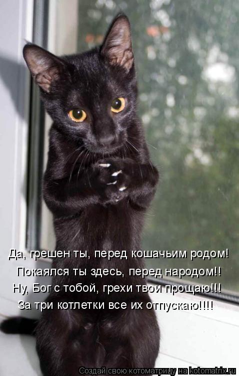 Да, грешен ты, перед кошачьим родом! Покаялся ты здесь, перед народом!! Ну, Бог с тобой, грехи твои п... Котоматрица: Да, грешен ты, перед кошачьим родом! Покаялся ты здесь, перед народом!! Ну, Бог с тобой, грехи твои прощаю!!! За три котлетки все их отпускаю!!!!