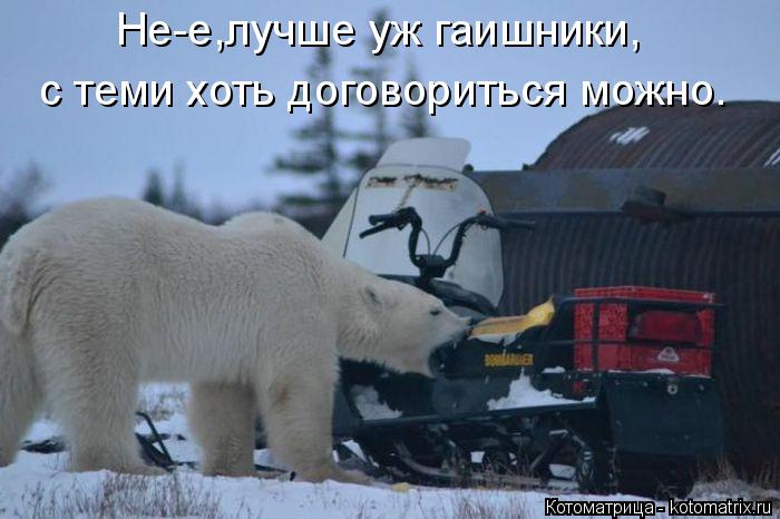 Не-е,лучше уж гаишники, с теми хоть договориться можно.... Котоматрица: Не-е,лучше уж гаишники, с теми хоть договориться можно.