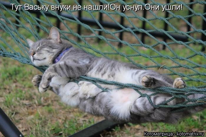 Тут Ваську внуки не нашли!Он уснул.Они ушли!... Котоматрица: Тут Ваську внуки не нашли!Он уснул.Они ушли!