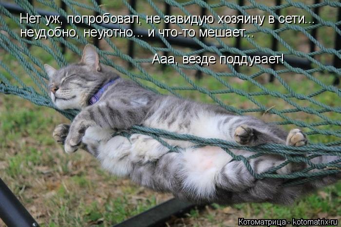 Нет уж, попробовал, не завидую хозяину в сети... неудобно, неуютно... и что-то мешает... Ааа, везде п... Котоматрица: Нет уж, попробовал, не завидую хозяину в сети... неудобно, неуютно... и что-то мешает... Ааа, везде поддувает!