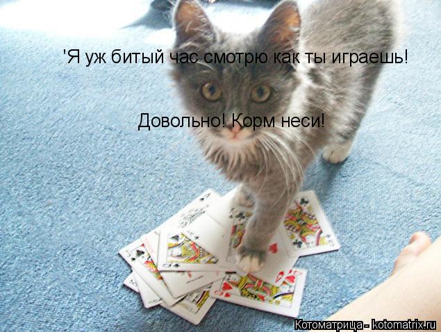 'Я уж битый час смотрю как ты играешь! 'Я уж битый час смотрю как ты играешь! Довольно! Корм неси!... Котоматрица: 'Я уж битый час смотрю как ты играешь! 'Я уж битый час смотрю как ты играешь! Довольно! Корм неси!