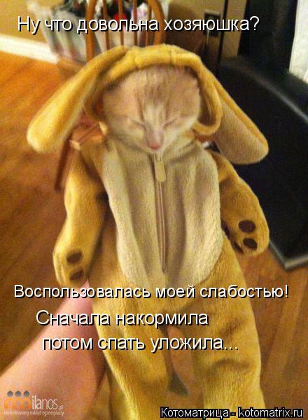 Ну что довольна хозяюшка? Воспользовалась моей слабостью! Сначала накормила потом спать уложила...... Котоматрица: Ну что довольна хозяюшка? Воспользовалась моей слабостью! Сначала накормила потом спать уложила...