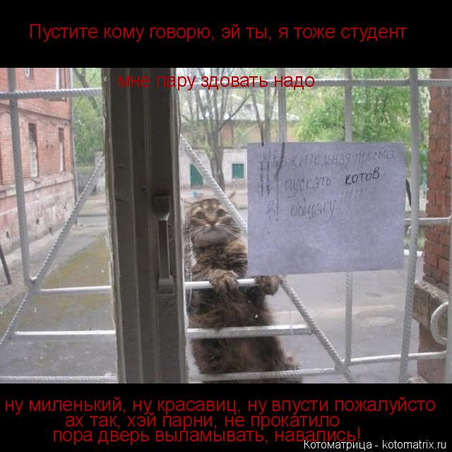 Пустите кому говорю, эй ты, я тоже студент мне пару здовать надо ну миленький, ну красавиц, ну впусти... Котоматрица: Пустите кому говорю, эй ты, я тоже студент мне пару здовать надо ну миленький, ну красавиц, ну впусти пожалуйсто ах так, хэй парни, не прокати