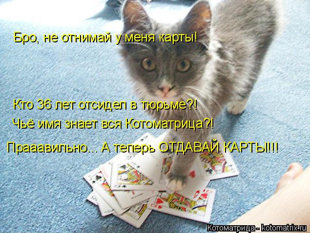 Бро, не отнимай у меня карты! Кто 36 лет отсидел в тюрьме?! Чьё имя знает вся Котоматрица?! Прааавиль... Котоматрица: Бро, не отнимай у меня карты! Кто 36 лет отсидел в тюрьме?! Чьё имя знает вся Котоматрица?! Прааавильно... А теперь ОТДАВАЙ КАРТЫ!!!