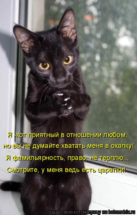 Я -кот приятный в отношении любом, но вы не думайте хватать меня в охапку! Я фамильярность, право, не... Котоматрица: Я -кот приятный в отношении любом, но вы не думайте хватать меня в охапку! Я фамильярность, право, не терплю... Смотрите, у меня ведь есть царап