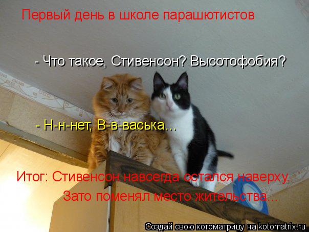Первый день в школе парашютистов - Что такое, Стивенсон? Высотофобия? - Н-н-нет, В-в-васька… Итог: Ст... Котоматрица: Первый день в школе парашютистов - Что такое, Стивенсон? Высотофобия? - Н-н-нет, В-в-васька… Итог: Стивенсон навсегда остался наверху. Зато по