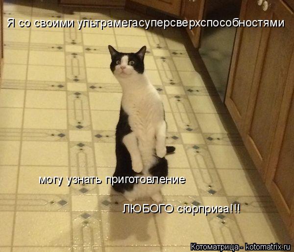 Я со своими ультрамегасуперсверхспособностями могу узнать приготовление ЛЮБОГО сюрприза!!!... Котоматрица: Я со своими ультрамегасуперсверхспособностями могу узнать приготовление ЛЮБОГО сюрприза!!!