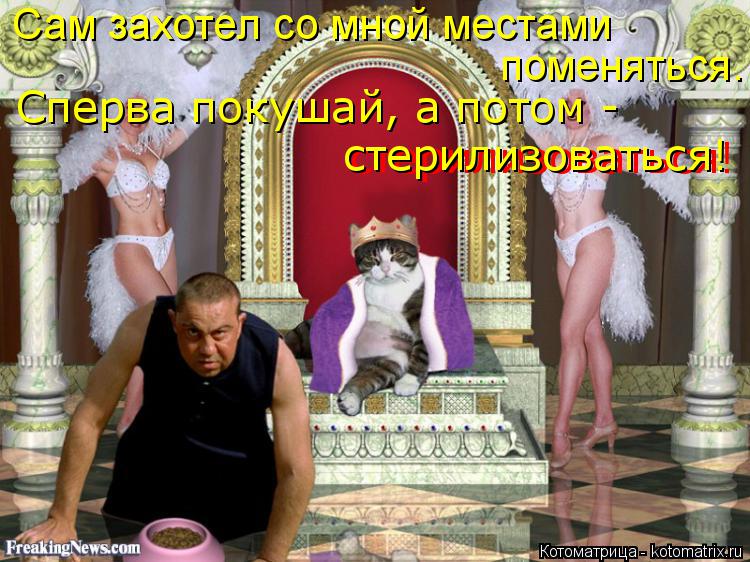 Сам захотел со мной местами поменяться. Сперва покушай, а потом - стерилизоваться! стерилизоваться!... Котоматрица: Сам захотел со мной местами поменяться. Сперва покушай, а потом - стерилизоваться! стерилизоваться!
