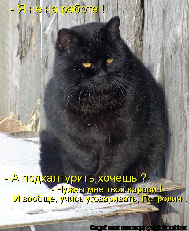 - Я не на работе ! - А подхалтурить хочешь ? - Нужны мне твои караси ! И вообще, учись уговаривать, ... Котоматрица: - Я не на работе ! - А подхалтурить хочешь ? - Нужны мне твои караси ! И вообще, учись уговаривать, Петрович .